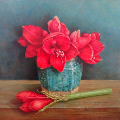 Amaryllis in pot Amaryllis in pot